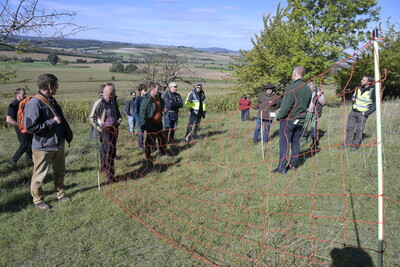 Herdenschutz in der Hanglage - © Elke Steinbach /media/media/388AD90F-9C2E-BF3D-6CAAE31CC0E386EE.JPG