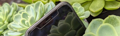 Sukkulenten und Smartphone - © Svenja Waldmann Sukkulenten und Smartphone