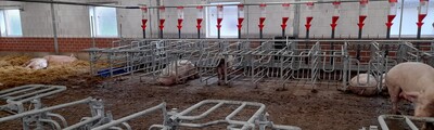 Blick ins Deckzentrum (gem. der 7. Änderung der TierSchNutztVO) - © Gerd Hermeling Blick ins Deckzentrum (gem. der 7. Änderung der TierSchNutztVO)