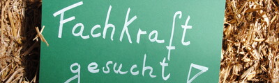 Umfrage Jobwechsel